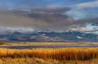 Wetlands below Mount Powell in the Flint Creek Range in Warm Springs, Montana, USA. Art Print